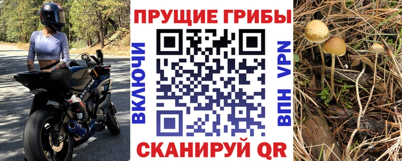 Галлюциногенные грибы Magic Shrooms  Сольвычегодск 